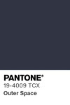 5557 pantone color chip 19 4009 tcx
