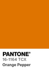 5573 pantone color chip 16 1164 tcx
