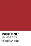 5581 pantone color chip 18 1658 tcx