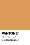 5590 pantone color chip 16 1142 tcx