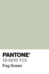 5596 pantone color chip 13 0210 tcx