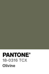5601 pantone color chip 18 0316 tcx