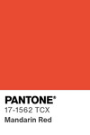 5613 pantone color chip 17 1562 tcx