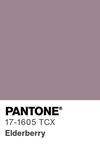 5619 pantone color chip 17 1605 tcx