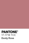 5620 pantone color chip 17 1718 tcx