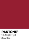 7745 pantone color chip 19 1863 tcx