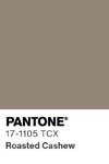 10962 pantone color chip 17 1105 tcx