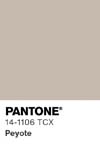 10963 pantone color chip 14 1106 tcx
