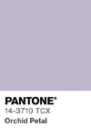 10981 pantone color chip 14 3710 tcx