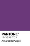 10984 pantone color chip 19 3536 tcx