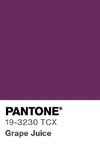 10985 pantone color chip 19 3230 tcx