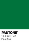 10990 pantone color chip 18 6031 tcx