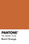 10993 pantone color chip 16 1448 tcx