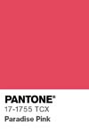 10996 pantone color chip 17 1755 tcx