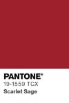 10999 pantone color chip 19 1559 tcx