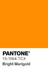 11284 pantone color chip 15 1164 tcx