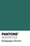 11293 pantone color chip 18 5725 tcx