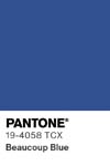 11300 pantone color chip 19 4058 tcx