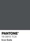 11307 pantone color chip 19 3910 tcx