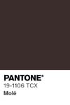13434 pantone color chip 19 1106 tcx