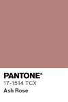 13437 pantone color chip 17 1514 tcx