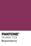 13441 pantone color chip 19 2431 tcx