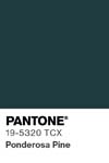 13443 pantone color chip 19 5320 tcx