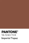2007 pantone color chip 18 1243 tcx