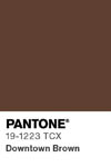 2008 pantone color chip 19 1223 tcx