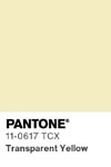 2010 pantone color chip 11 0617 tcx