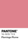 2018 pantone color chip 16 1615 tcx