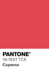 2019 pantone color chip 18 1651 tcx