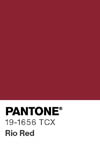 2021 pantone color chip 19 1656 tcx