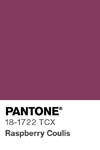 2022 pantone color chip 18 1722 tcx