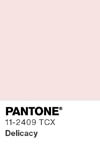 2023 pantone color chip 11 2409 tcx