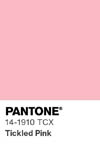 2024 pantone color chip 14 1910 tcx