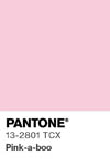 2025 pantone color chip 13 2801 tcx