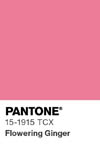 2026 pantone color chip 15 1915 tcx