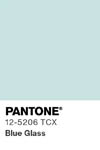 2027 pantone color chip 12 5206 tcx