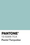 2028 pantone color chip 13 5309 tcx