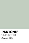 2033 pantone color chip 13 6107 tcx