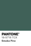 2035 pantone color chip 18 5718 tcx