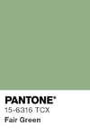 2037 pantone color chip 15 6316 tcx