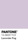 2038 pantone color chip 13 3820 tcx