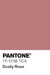 2040 pantone color chip 17 1718 tcx