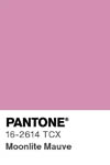 2041 pantone color chip 16 2614 tcx
