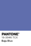 2042 pantone color chip 18 3946 tcx
