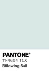 2044 pantone color chip 11 4604 tcx