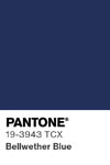 2050 pantone color chip 19 3943 tcx