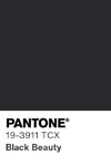 2054 pantone color chip 19 3911 tcx
